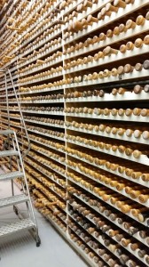 Louisville Slugger Bat Model Storage